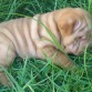 el primer dia con Baloo